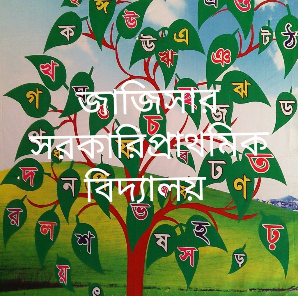 জাজিসার সরকারি প্রাথমিক বিদ্যালয়