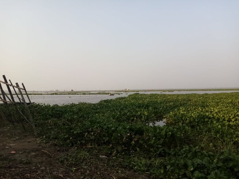 ময়দাগঞ্জ_kasba_info_river