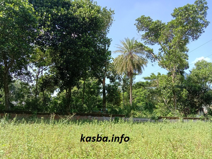 মিরতলা খা-বাড়ি কবরস্থান kasba_info (1)