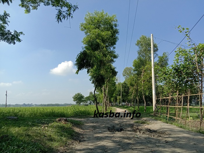 মিরতলা গ্রাম্যপথ kasba_info (1)