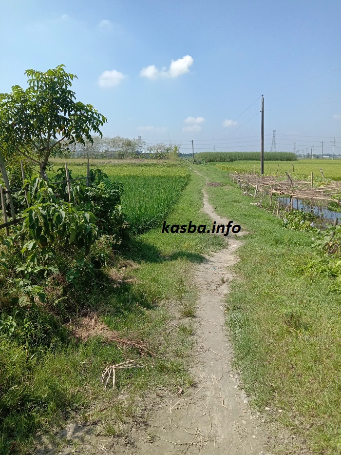 মিরতলা গ্রাম্যপথ kasba_info (1)