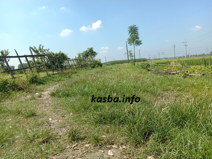 মিরতলা গ্রাম্যপথ kasba_info (1)